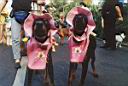 09 - Dobibabies.jpg